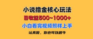 小说撸金核心玩法，日收益500-1000+，小白看完照样上手，0成本有手就行-KJ分享
