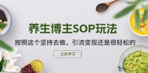 养生博主SOP玩法，按照这个坚持去做，引流变现还是很轻松的-KJ分享