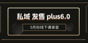 私域 发售 plus6.0【5月份线下课录音】/全域套装 sop流程包，社群发售…-KJ分享
