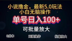 全自动小说撸金,单号日入100+小白轻松上手,无脑操作-KJ分享