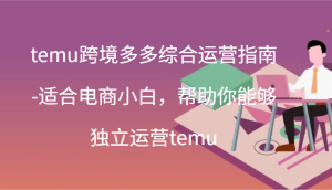 temu跨境多多综合运营指南-适合电商小白，帮助你能够独立运营temu(44节)-KJ分享