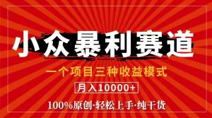 视频号【中老年粉深信不疑】小众赛道 100%原创 手把手教学 新号3天收益…-KJ分享