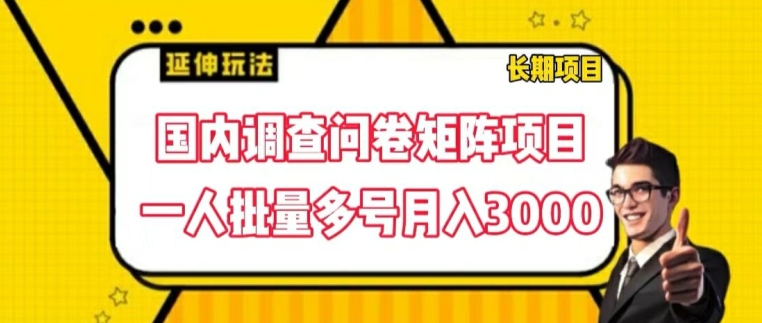 国内调查问卷矩阵项目，一人批量多号月入3000-KJ分享