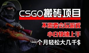 CSGO 装备搬砖项目,操作简单,不需要会玩游戏,小白也能快速上手,一个月轻松大几千-KJ分享
