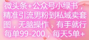 微头条+公众号小绿书，精准引流男粉到私域卖套图，无脑操作，有手就行，每单99-200，每天5单-KJ分享