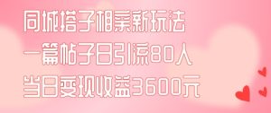 同城搭子相亲新玩法一篇帖子引流80人当日变现3600元(项目教程+实操教程)-KJ分享