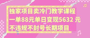 独家项目卖冷门教学课程一单88元单日变现5632元违规不封号长期项目-KJ分享