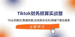 Tiktok财务核算实战营：TK业务模式/数据核算/应收款及毛利/数据下载及报表-KJ分享