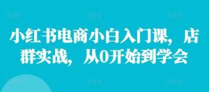 小红书电商小白入门课，店群实战，从0开始到学会-KJ分享