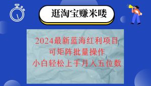 2024淘宝蓝海红利项目，无脑搬运操作简单，小白轻松月入五位数，可矩阵…-KJ分享