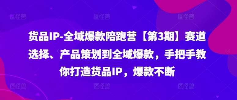 货品IP全域爆款陪跑营【第3期】赛道选择、产品策划到全域爆款，手把手教你打造货品IP，爆款不断-KJ分享