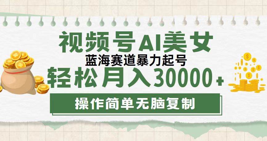 视频号AI美女跳舞，轻松月入30000+，蓝海赛道，流量池巨大，起号猛，无…-KJ分享