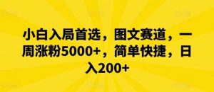 小白入局首选，图文赛道，一周涨粉5000+，简单快捷，日入200+-KJ分享