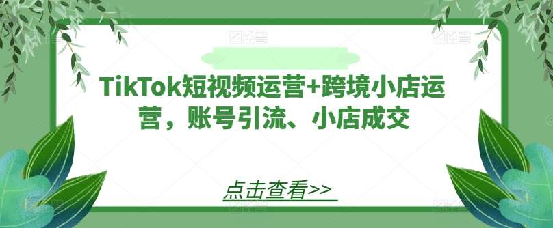 TikTok短视频运营+跨境小店运营，账号引流、小店成交-KJ分享
