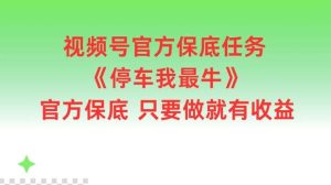 视频号官方保底任务，停车我最牛，官方保底只要做就有收益【揭秘】-KJ分享
