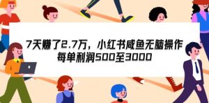 7天收了2.7万,小红书咸鱼无脑操作,每单利润500至3000-KJ分享
