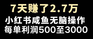 七天赚了2.7万!每单利润最少500+,轻松月入5万+小白有手就行-KJ分享