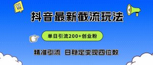 2024年抖音评论区最新截流玩法,日引200+创业粉,日稳定变现四位数实操…-KJ分享