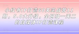 小红书IP打造60天实战营11期，5.0大升级，全网独一无二的自媒体IP打造课程-KJ分享