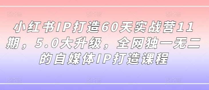 小红书IP打造60天实战营11期，5.0大升级，全网独一无二的自媒体IP打造课程-KJ分享