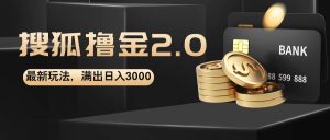 搜狐撸金2.0最新玩法,无脑日入3000+,可无限扩大-KJ分享