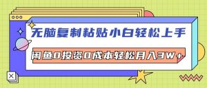 无脑复制粘贴，小白轻松上手，电商0投资0成本轻松月入3W+-KJ分享
