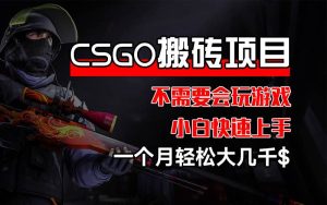 CSGO 装备搬砖项目,操作简单,不需要会玩游戏,小白也能快速上手,一…-KJ分享