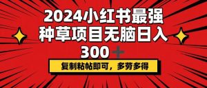 2024小红书最强种草项目，无脑日入300+，复制粘帖即可，多劳多得-KJ分享
