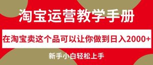 淘宝运营教学手册，在淘宝卖这个品可以让你做到日入2000+，新手小白轻…-KJ分享