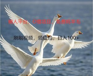 O撸懒人平台,全新手机广告不推广单机100+,刷刷就有捡钱一样, 简单无脑稳定-KJ分享