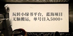 玩转小绿书平台,蓝海项目,无脑搬运,单号日入5000+-KJ分享