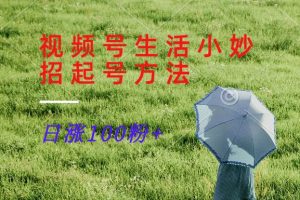 视频号生活小妙招分享赛道， 起号涨粉新方法，日涨100粉-KJ分享