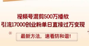精华帖视频号混剪500万播放引流17000创业粉,单日直接过万变现,最新方…-KJ分享