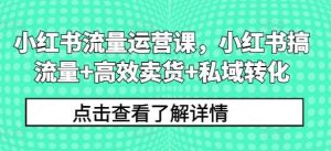 小红书流量运营课,小红书搞流量+高效卖货+私域转化-KJ分享