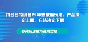 拼多多特训营24年爆破流玩法，产品决定上限，方法决定下限，各种玩法技巧落地实操-KJ分享
