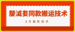 抖音96万粉丝账号【嫠㵄㚣】同款搬运技术-KJ分享