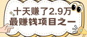 闲鱼小红书最赚钱项目之一,轻松月入6万+-KJ分享