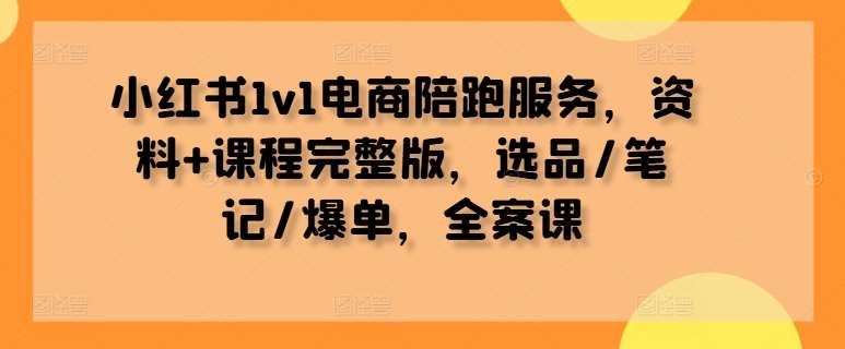 小红书1v1电商陪跑服务，资料+课程完整版，选品/笔记/爆单，全案课-KJ分享