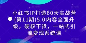 小红书IP打造60天实战营(第11期)5.0​内容全面升级，硬核干货，一站式引流变现系统课-KJ分享