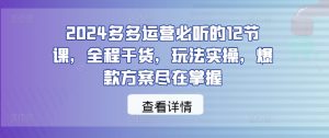 2024多多运营必听的12节课，全程干货，玩法实操，爆款方案尽在掌握-KJ分享