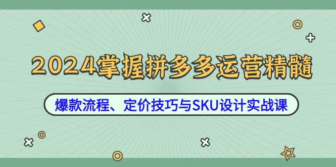 2024掌握拼多多运营精髓：爆款流程、定价技巧与SKU设计实战课-KJ分享