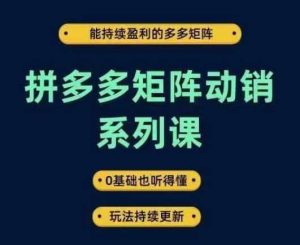 拼多多矩阵动销系列课,能持续盈利的多多矩阵,0基础也听得懂,玩法持续更新-KJ分享