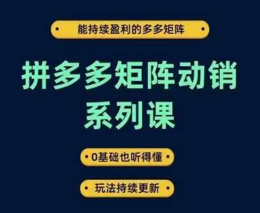拼多多矩阵动销系列课，能持续盈利的多多矩阵，0基础也听得懂，玩法持续更新-KJ分享