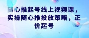 随心推起号线上视频课，实操随心推投放策略，正价起号-KJ分享