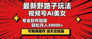 最新野路子玩法，视频号AI美女，当天见收益，轻松月入30000＋-KJ分享