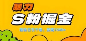 单人单机日引千粉，变现1k+，S粉流量掘金计划攻略【揭秘】-KJ分享