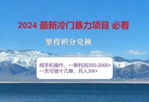 2024惊爆冷门暴利！出行高峰来袭，里程积分，高爆发期，一单300+—2000…-KJ分享
