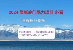 2024惊爆冷门暴利，里程积分最新玩法，高爆发期，一单300+—2000+-KJ分享
