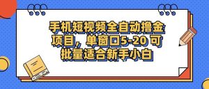 手机短视频掘金项目，单窗口单平台5-20 可批量适合新手小白-KJ分享