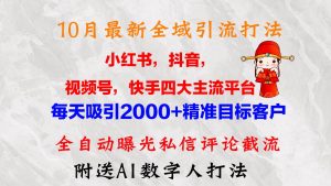 10月最新小红书，抖音，视频号，快手四大平台全域引流，，每天吸引2000…-KJ分享
